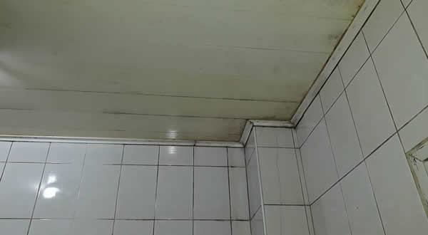 屏東市浴室和天花板漏水抓漏-熱像儀檢測